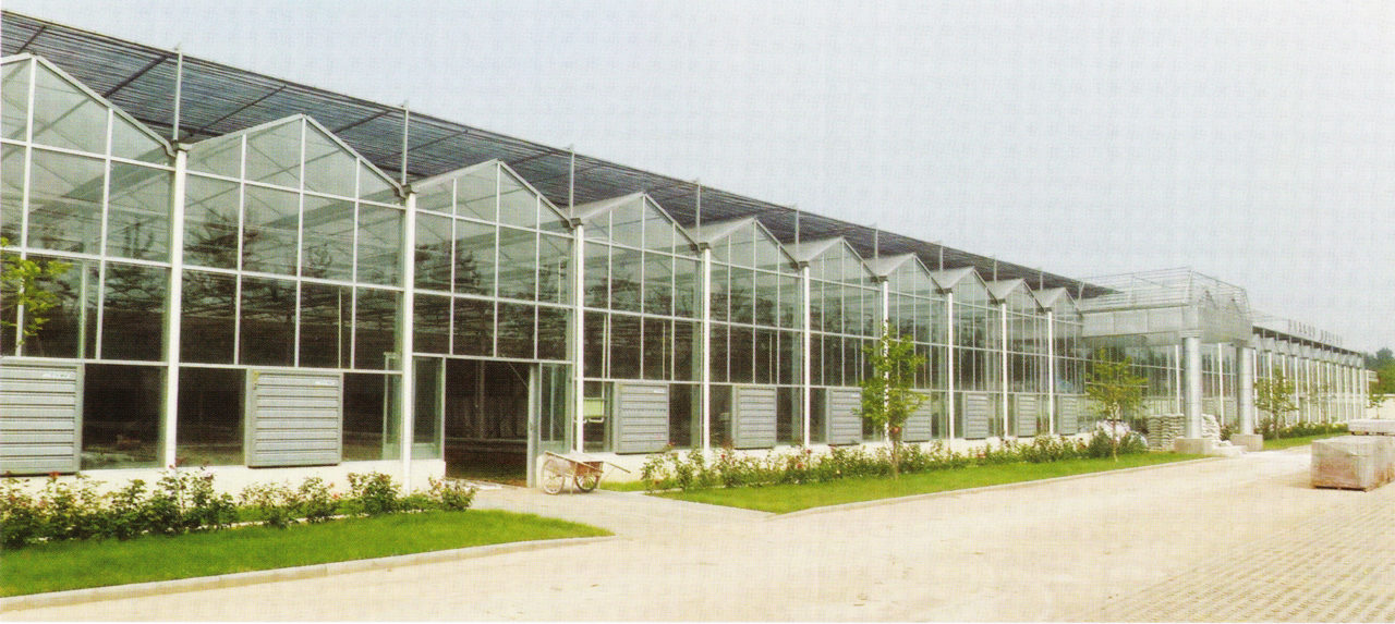 glass greenhouse 02