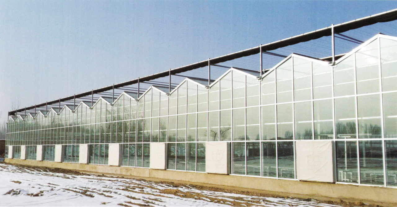 glass greenhouse 03