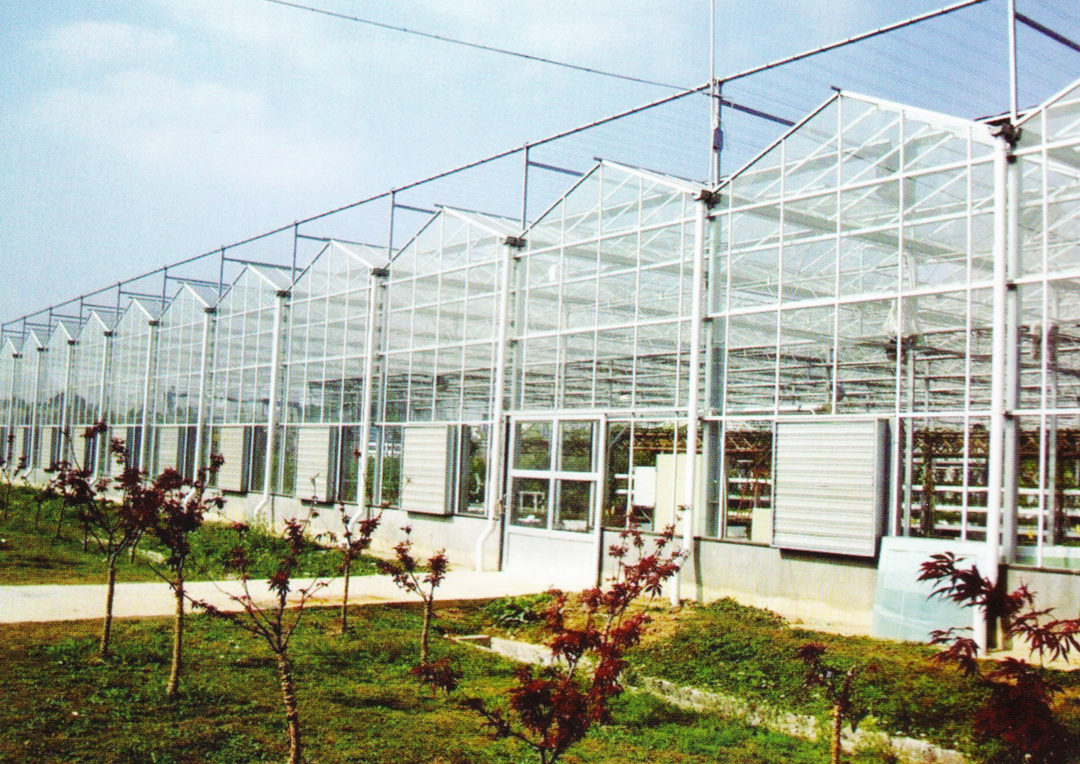 Multispan Greenhouse 2