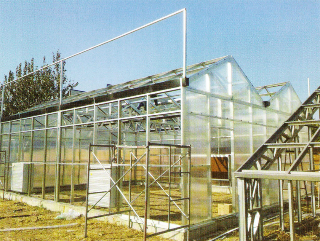 Sunlight Greenhouse 03