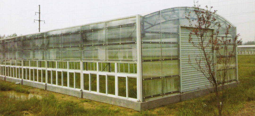 Sunlight Greenhouse 05
