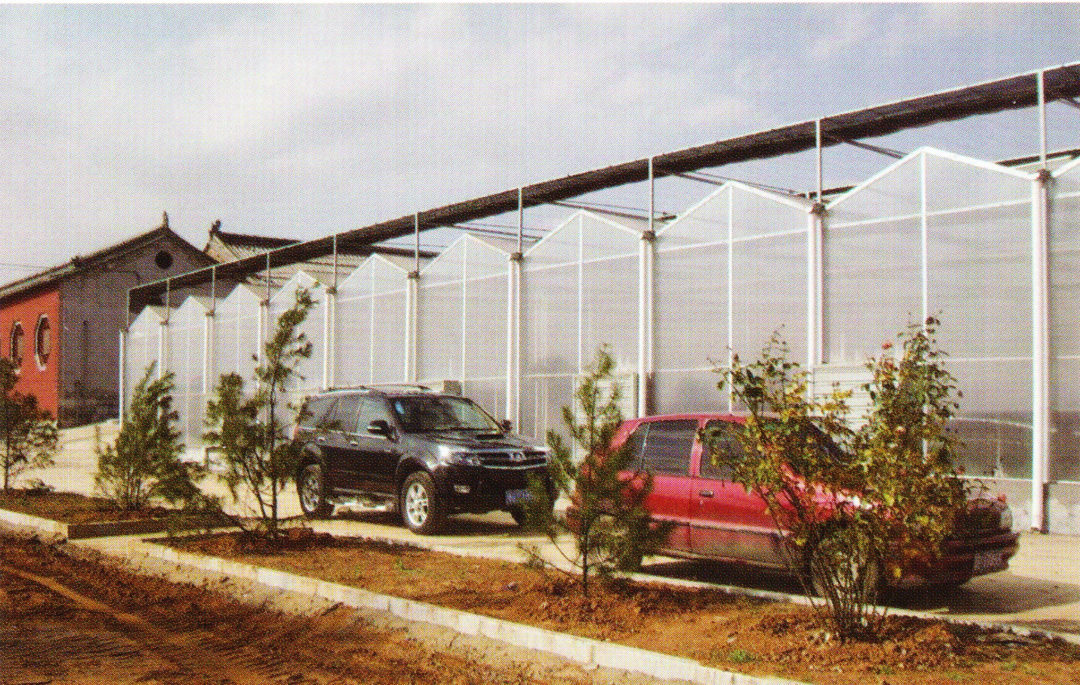Sunlight Greenhouse