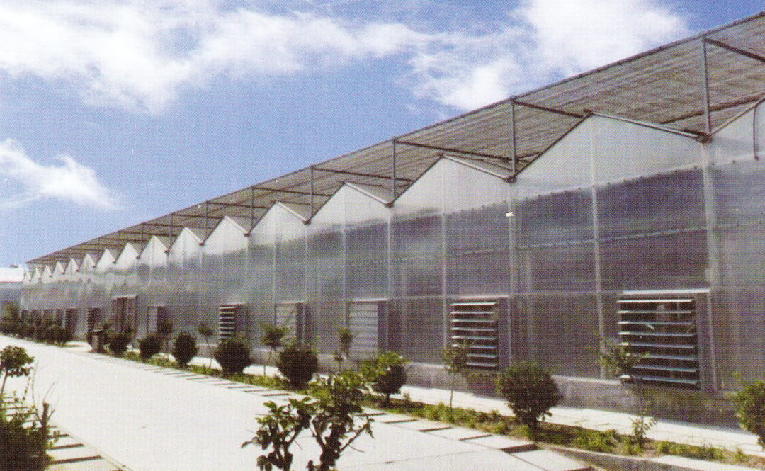 Sunlight Greenhouse 09