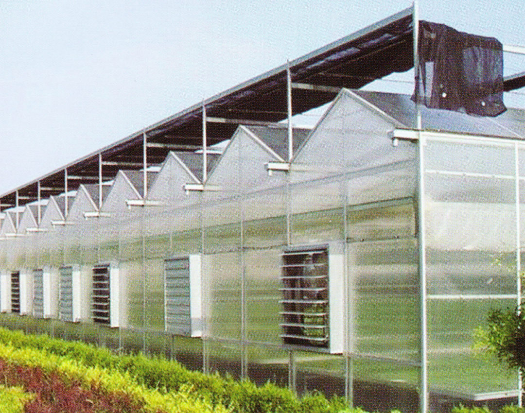 Sunlight Greenhouse 10
