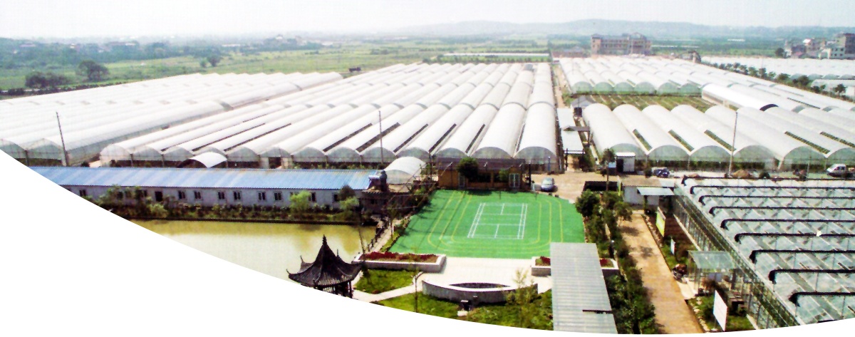 Commercial Greenhouses Covers