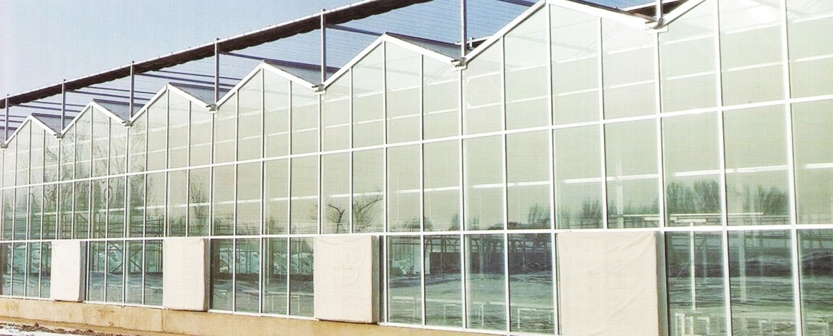 Multi Span Glass Greenhouse 03